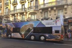 promosi-wonderful-indonesia-di-iltm-cannes