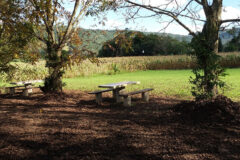 mengisi-hati-dengan-hal-bermanfaat