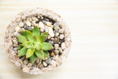 pondasi-penting-kehidupan