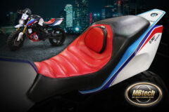 bmw-310-tracker-factory-look