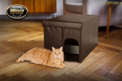 kucing-pun-butuh-singgasana