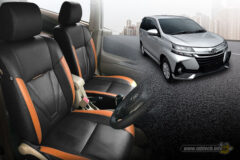 xenia-elegant-v-shape