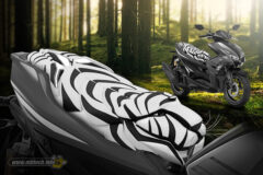 jok-harimau-kian-berwarna