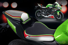 personalize-zx25r-2021