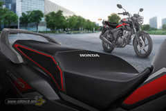 dynamic-stripe-verza-2021