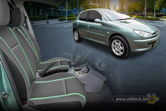 attractive-peugeot-206