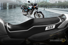 thunder-125-classic-flat-track