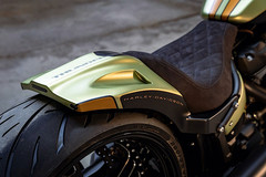 harleydavidson-golden-lime