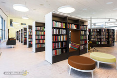 cozy-modern-library